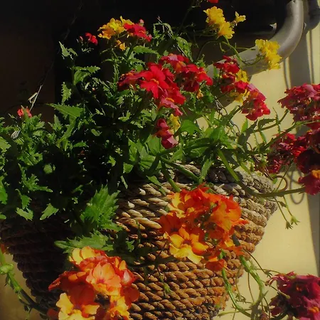 Cozy With Panoramic Garden In The Historic Center Of * Jesi